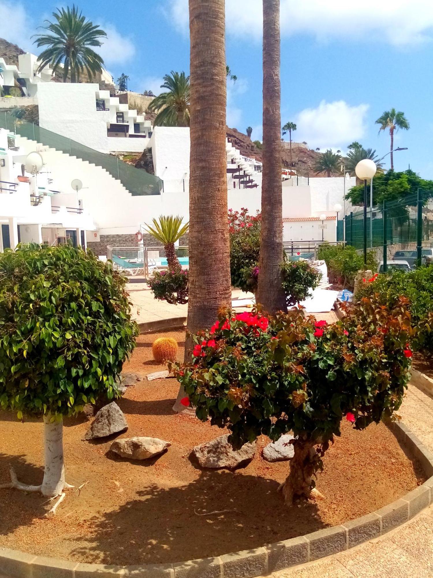 Most Sunny Days On Gran Canaria Puerto Rico  Exterior foto